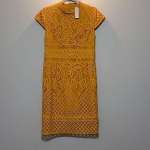 Mustard Yellow Lace High Neck Dress